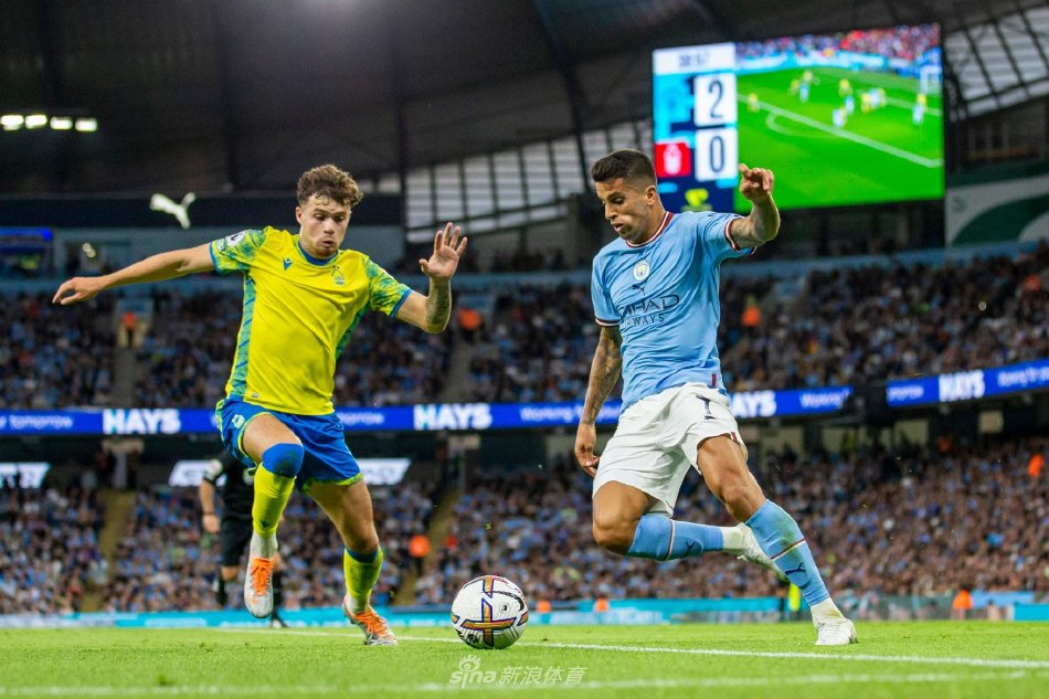 手术进展顺 手术进展顺