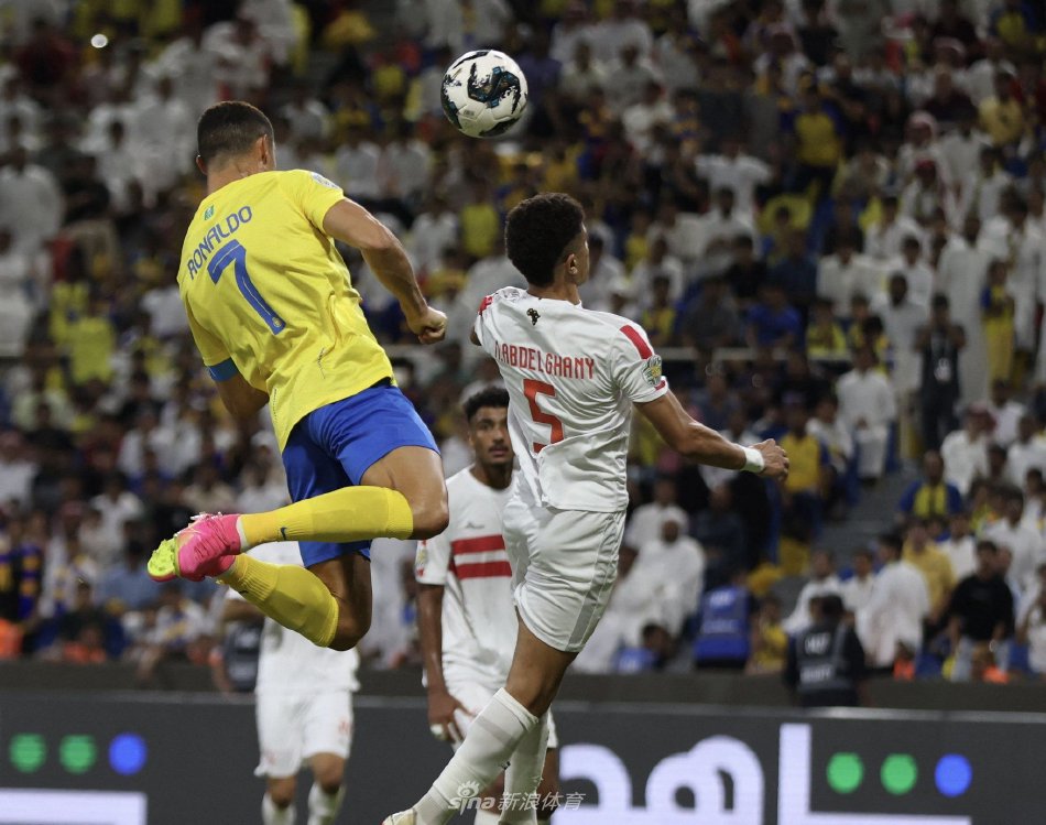 公益领域的 公益领域的